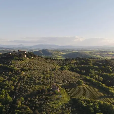 Villa Poggio Belvedere - Countryside