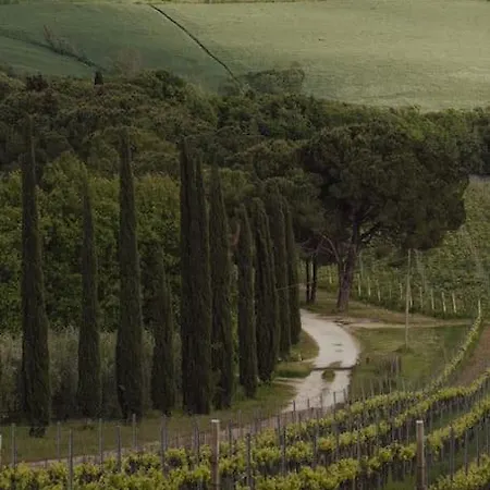 Poggio Belvedere - Countryside Mercatello (Marsciano)