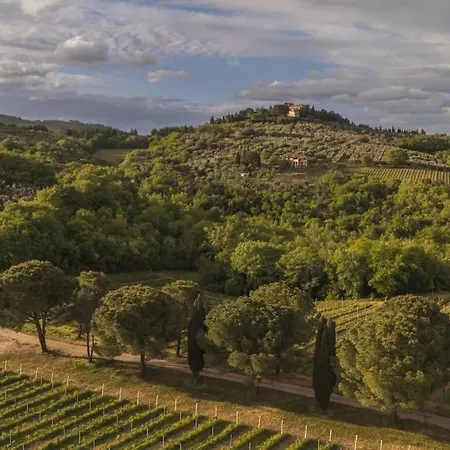Poggio Belvedere - Countryside Villa *