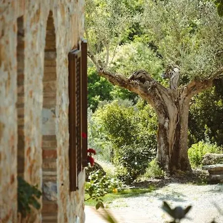 Exclusive In The Italian Countryside - Ultimate Luxury Awaits * Mercatello