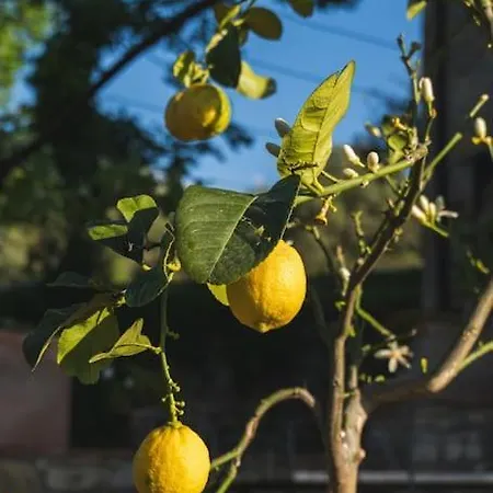 Exclusive In The Italian Countryside - Ultimate Luxury Awaits *