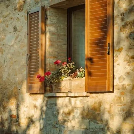 Villa Poggio Belvedere - Countryside *